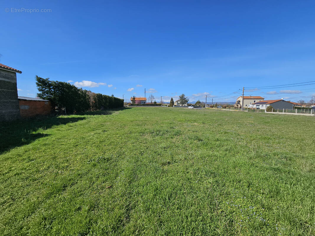 Terrain à VERGONGHEON