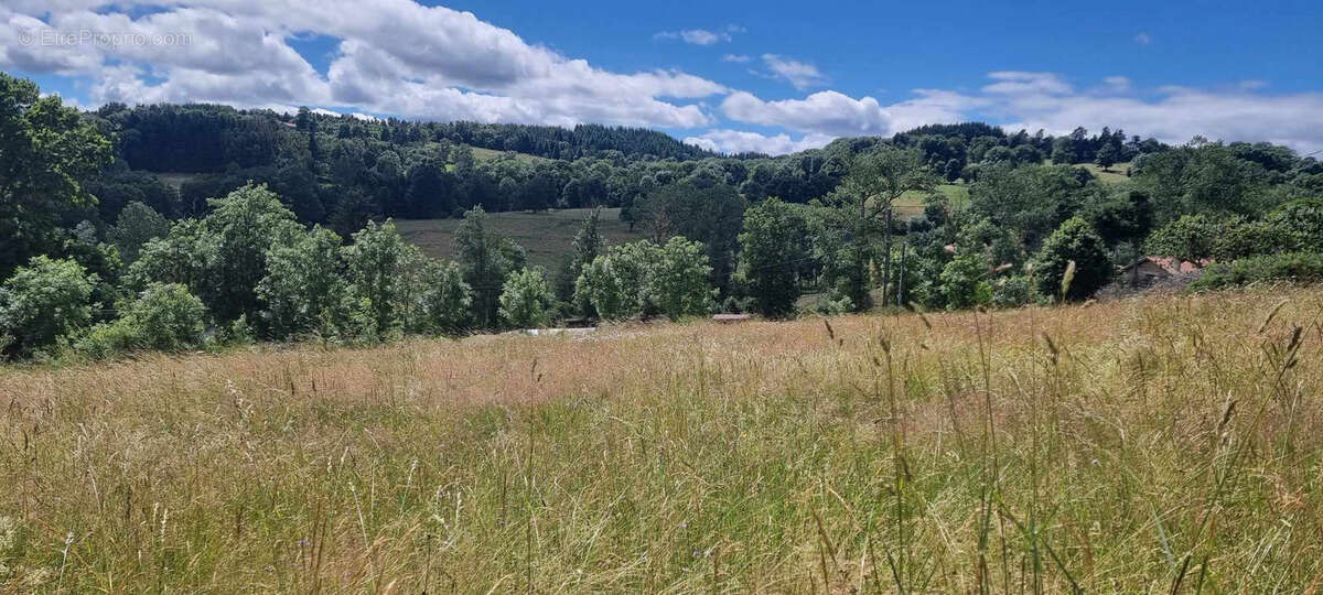 Terrain à CRAPONNE-SUR-ARZON