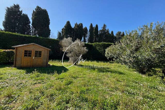 Maison à SAINT-REMY-DE-PROVENCE