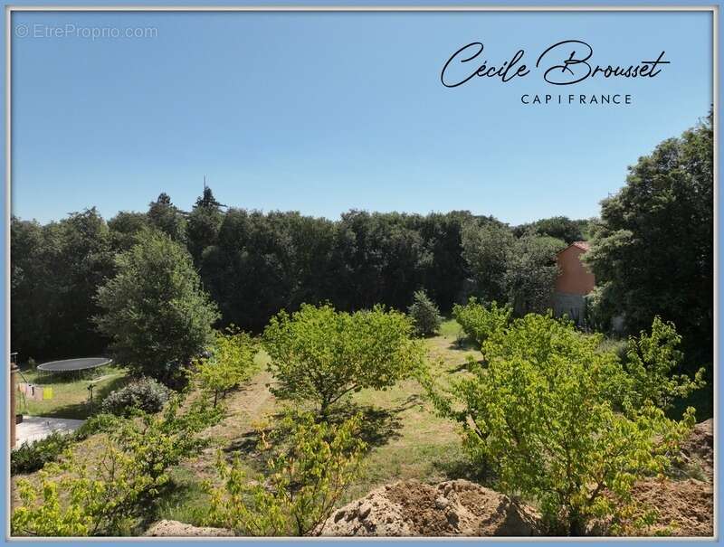 Terrain constructible de 1 027 m² – Quartier recherché de Céret - photo 3