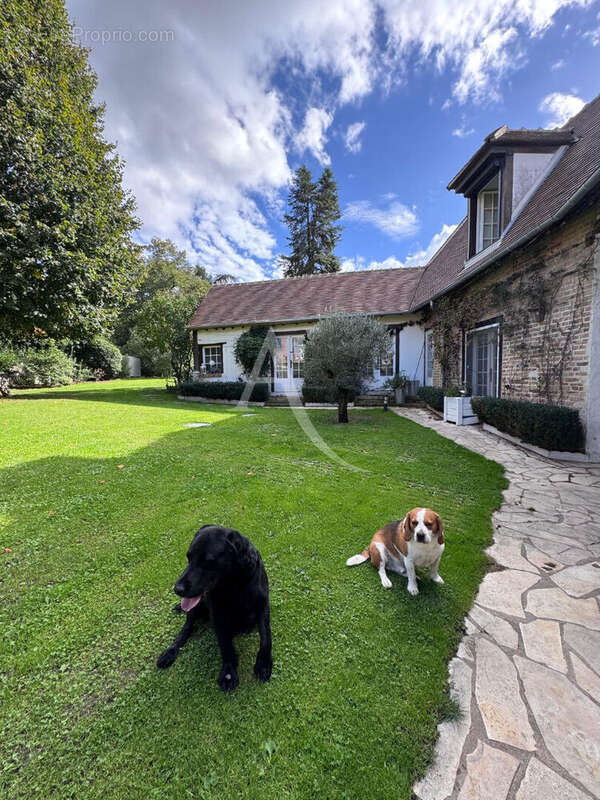 Maison à LAMOTTE-BEUVRON