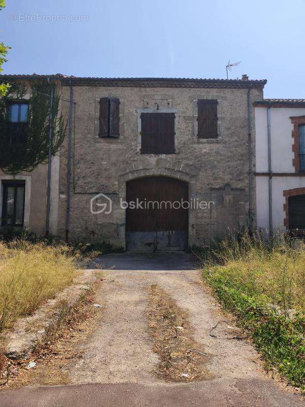 cave vinicole - photo 5