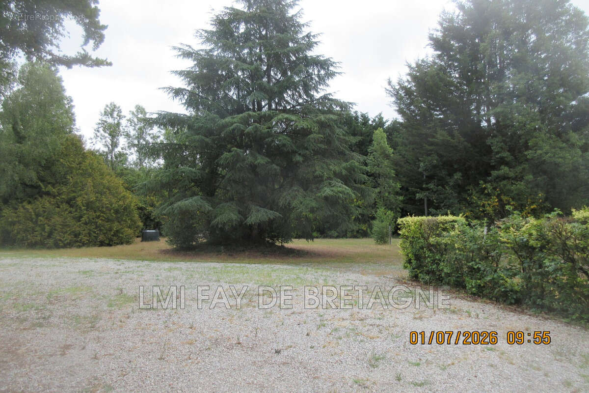 Commerce 640 m² à Maure-De-Bretagne  - photo 7