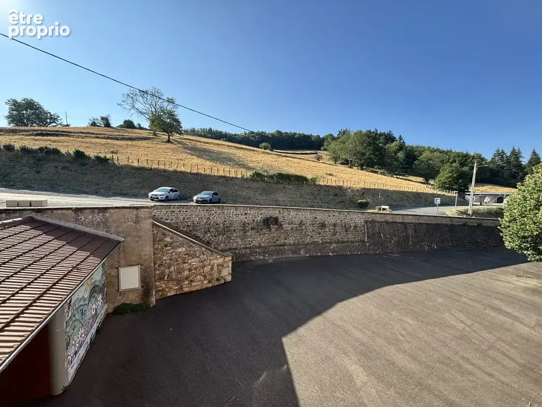 Maison 10 pièces 337 m² à vendre à Ouroux (69860) - photo 4