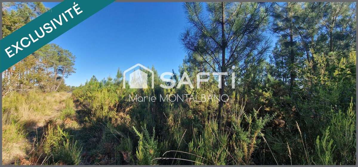 Photo 4 - Terrain à BIGANOS