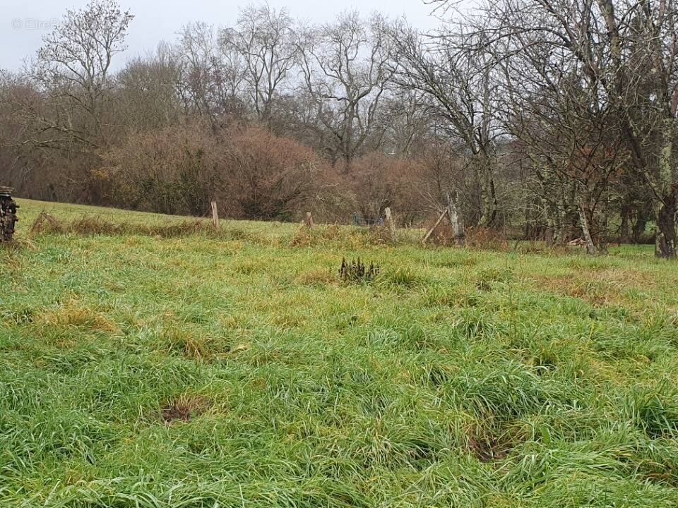 Terrain à SAINT-GERVAIS