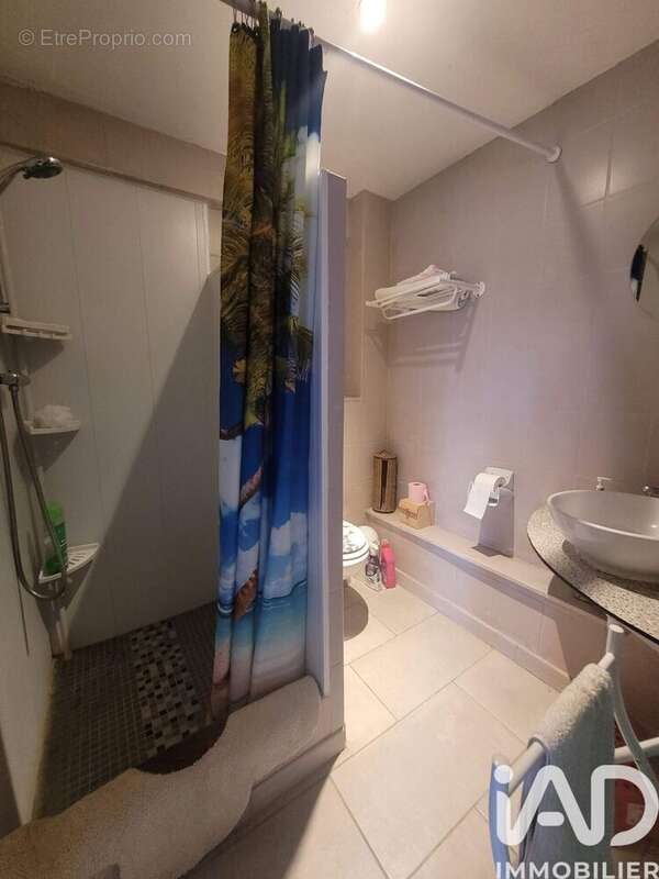 Maison 330 m² à Beaulieu-Sur-Sonnette  - photo 6