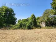 Terrain à SAINT-JEAN-D&#039;ANGELY