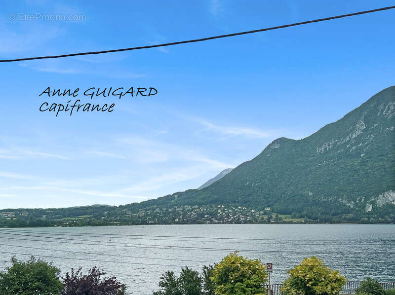 Annecy (74) - maison des annees 30 face au lac d'annecy - photo 16