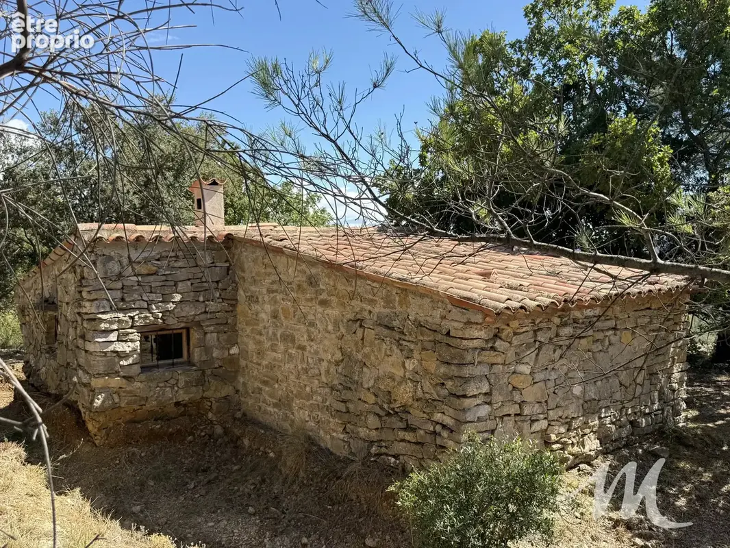 cabanon en pierres de 24 m² à Pontevès - photo 7