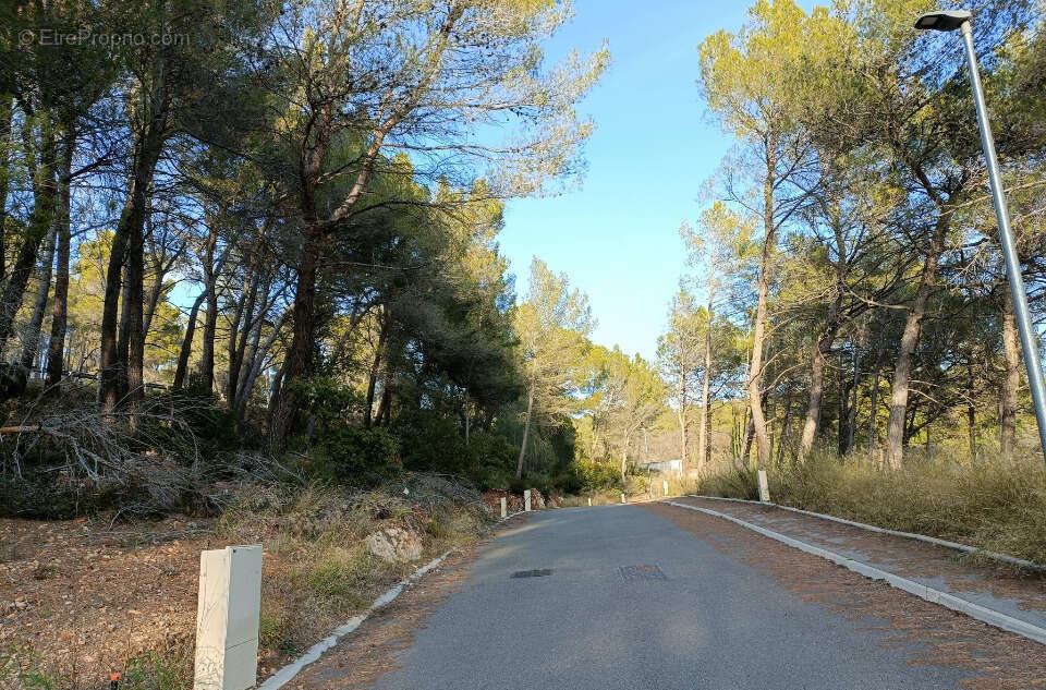 Terrain à SALERNES