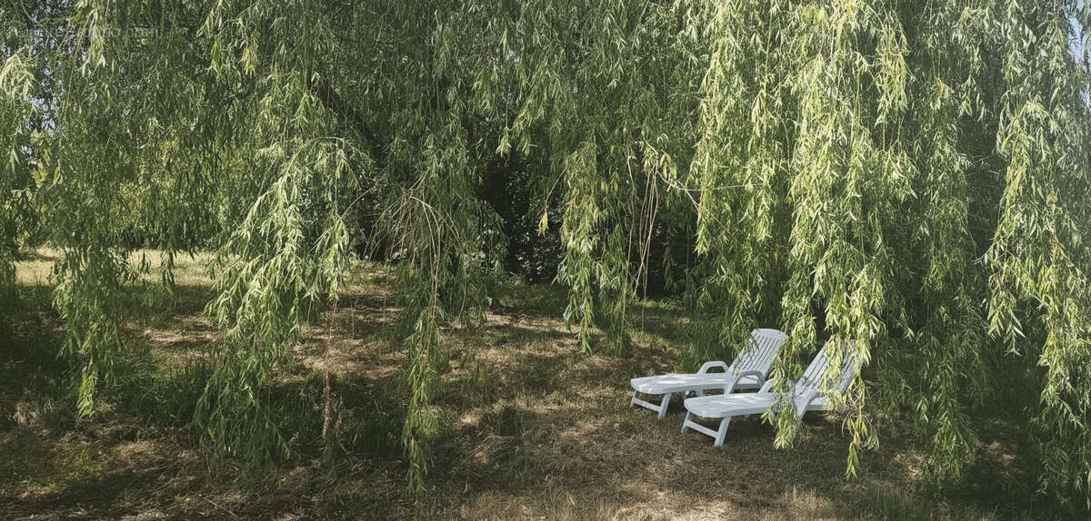 Maison individuelle récente avec garage et magnifique terrain arboré de 2000 m² - photo 3