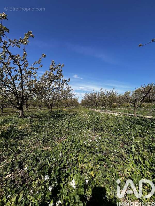 Photo 2 - Terrain à SALSES-LE-CHATEAU