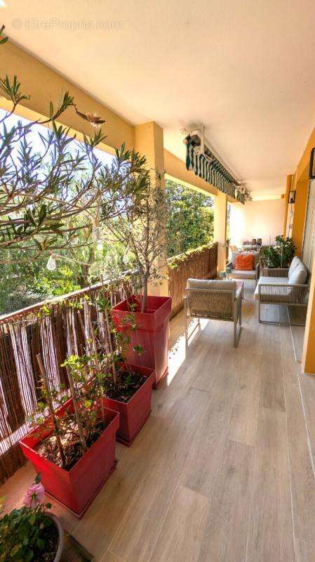 Grand t2  avec terrasse parking et cave . emplacement exceptionnel au c?ur de boulouris - photo 3