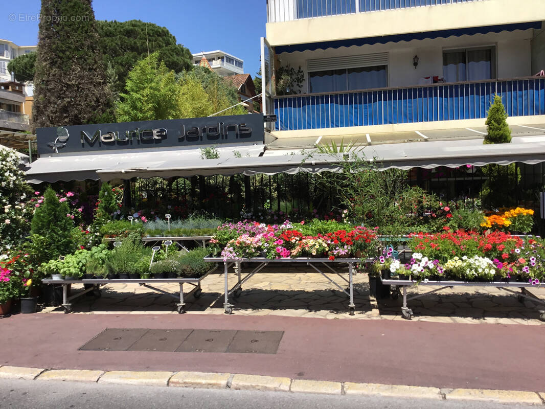 Commerce à CANNES