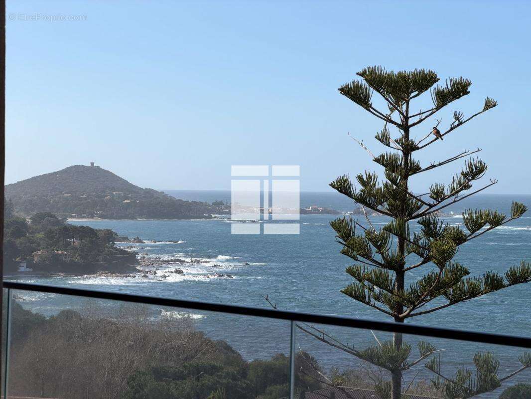 Appartement à PIETROSELLA