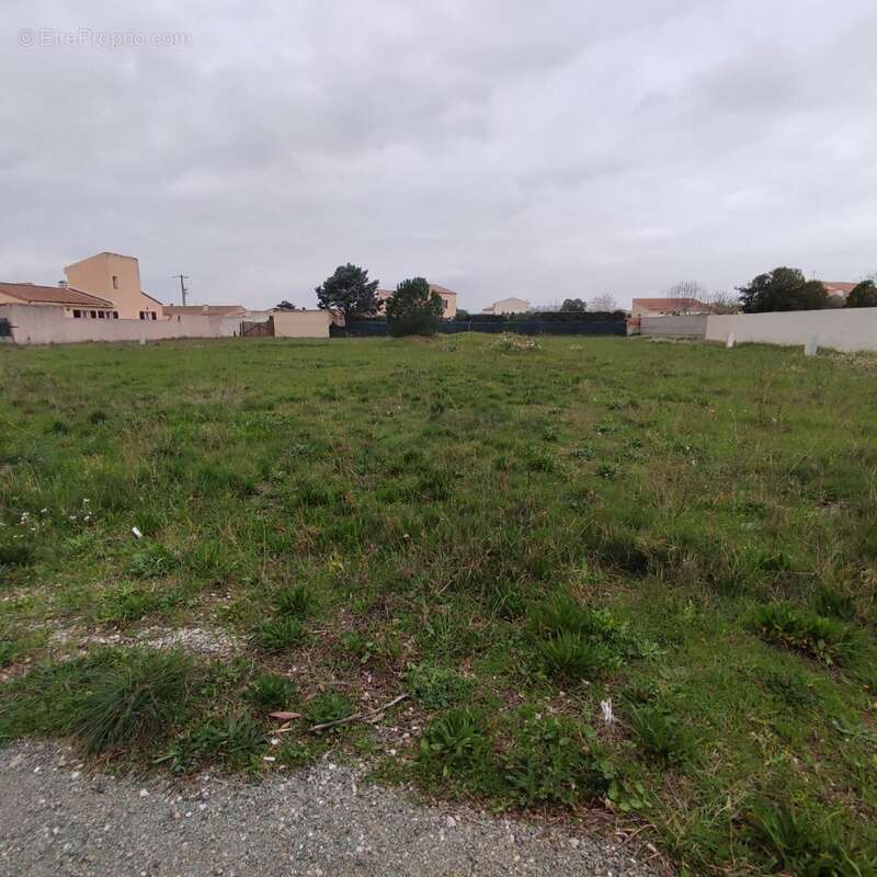 Terrain à SAINT-NAZAIRE-D'AUDE