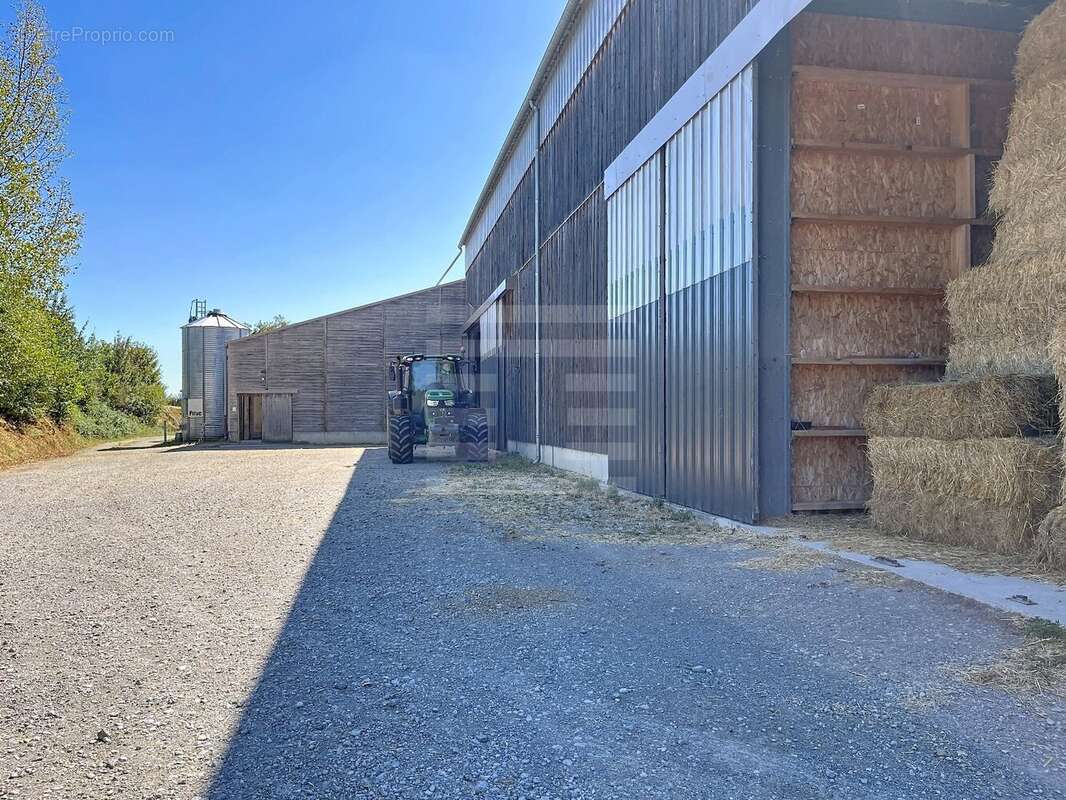 Exploitation en ovin lait - agriculture biologique - Aveyron (12) - photo 3