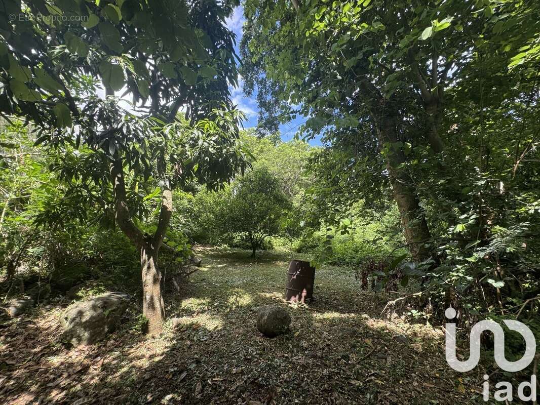 Photo 4 - Terrain à SAINT-PAUL