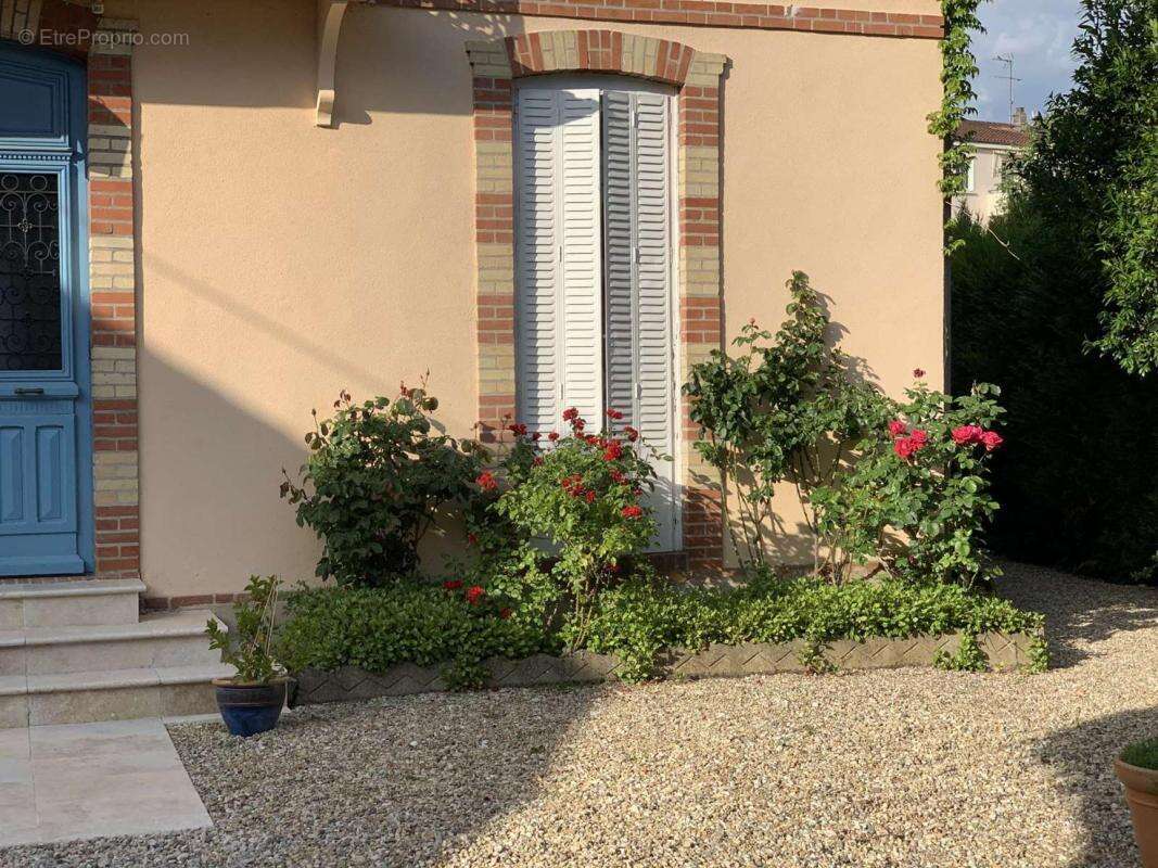 Maison à ALBI