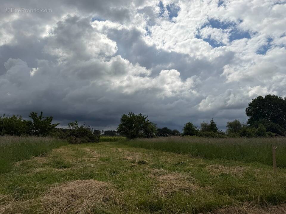 Terrain à SAINT-PIERRE-DE-MONS