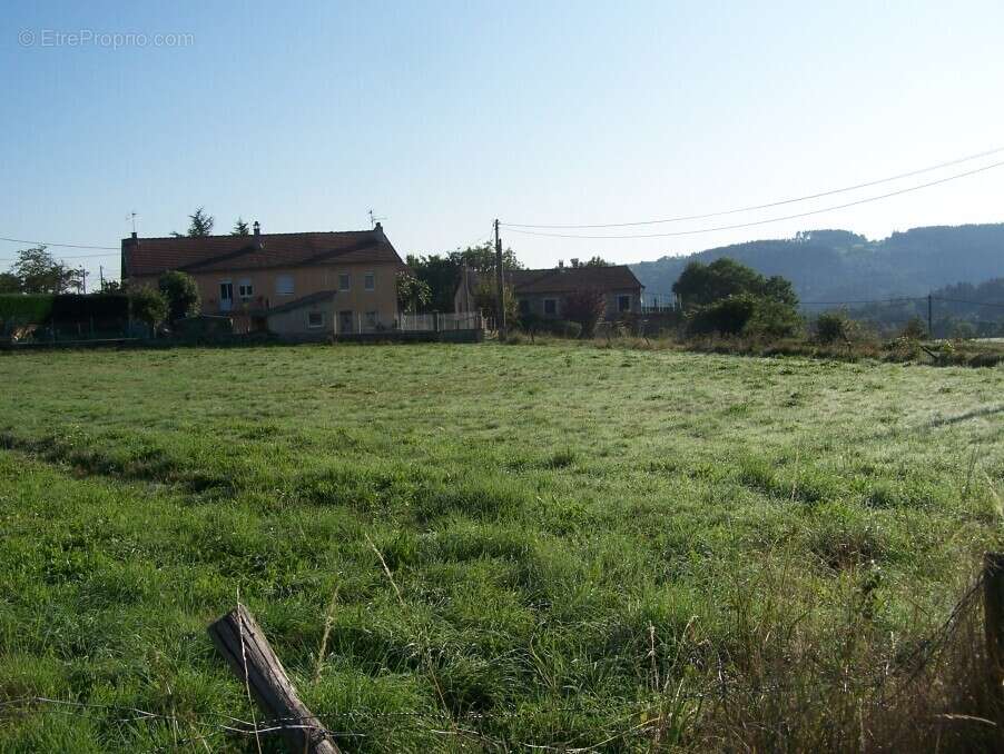 Terrain à YSSINGEAUX