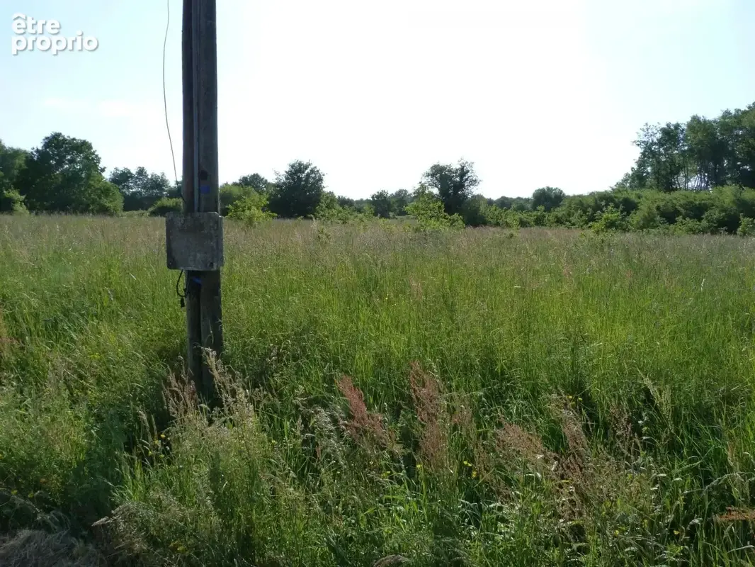 Vente Terrain Vignoux-sur-barangeon(18500) 59 900ï¿œ - photo 3
