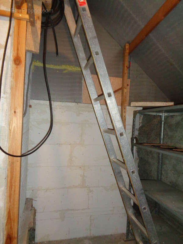 Maison à vendre 4 pièces BLENEAU (89) Maison au cœur du village de Bléneau, jardin et garage - photo 20