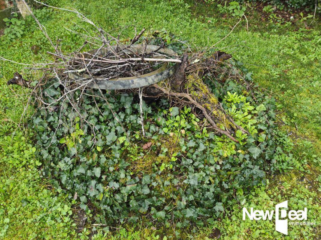 Maison à PENNE-D'AGENAIS