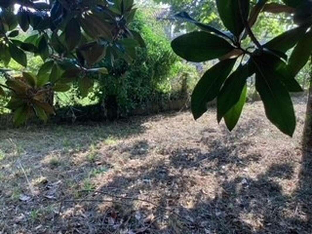 terrain3 - Terrain à SAINT-MARTORY