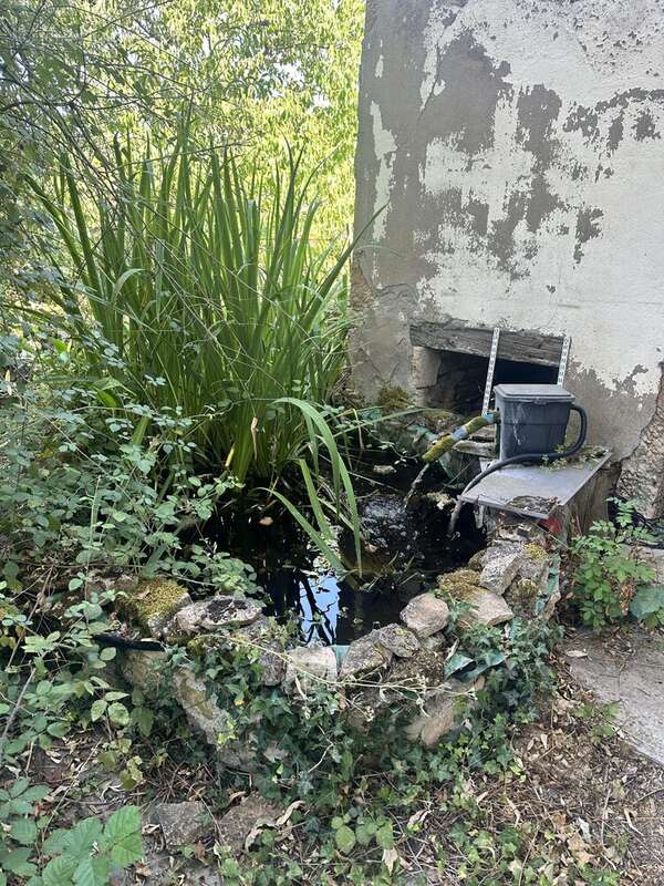 Maison 83 m² à Charbonnieres  - photo 6