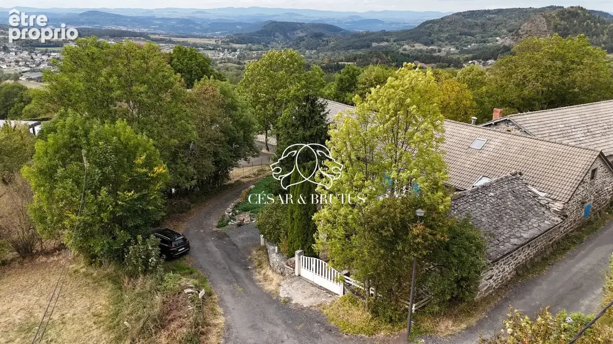 Maison 7 pièces 150 m² à vendre à Saint-Julien-Chapteuil (43260) - photo 3