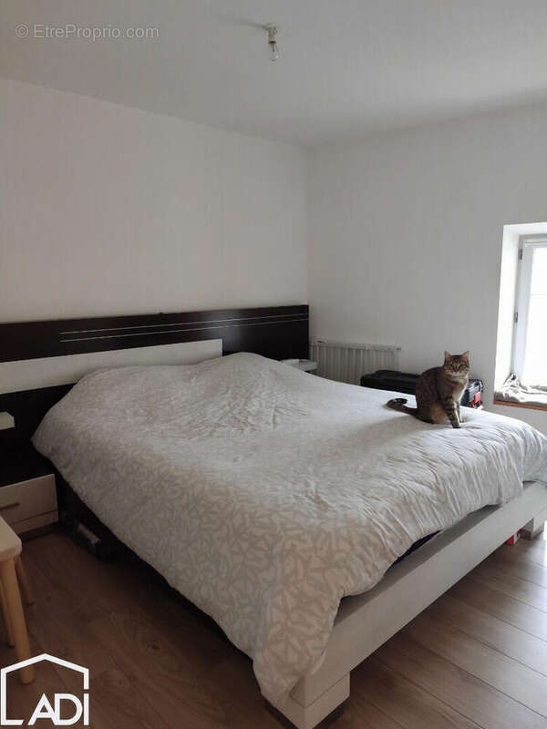Maison La Mothe Saint Héray - photo 8