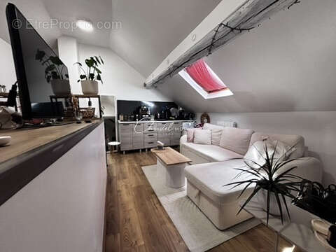Briarde 130m2 - jardin et véranda - photo 9