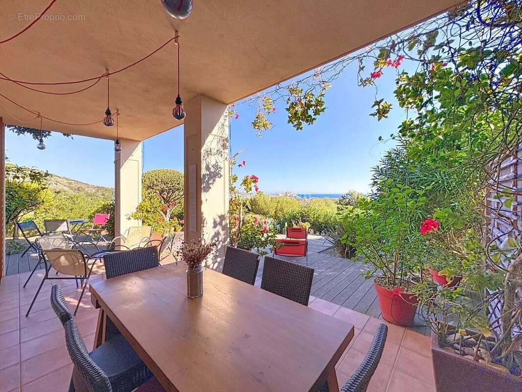 Maison à CALVI
