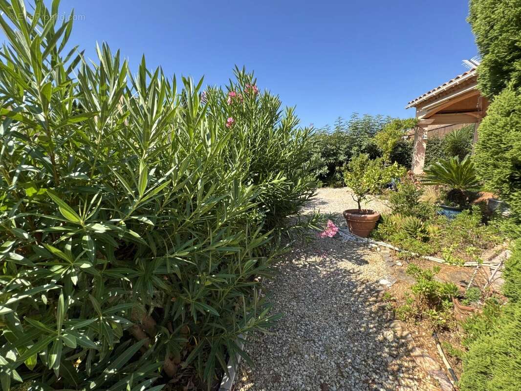 Maison 3 chambres à La Londe-les-Maures - photo 4