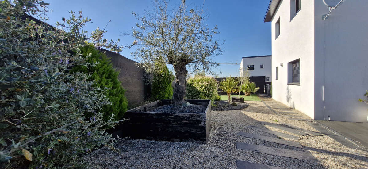 Maison à MONTREUIL-JUIGNE