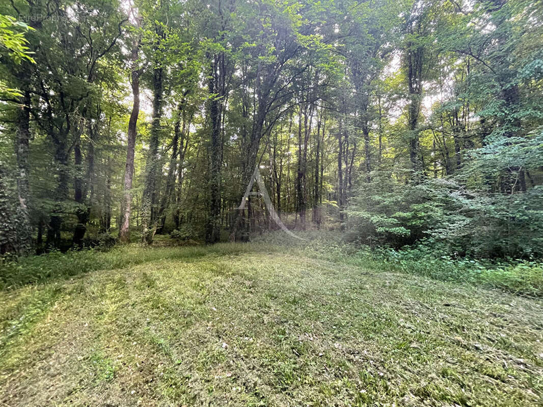 Maison à MONTHOU-SUR-CHER