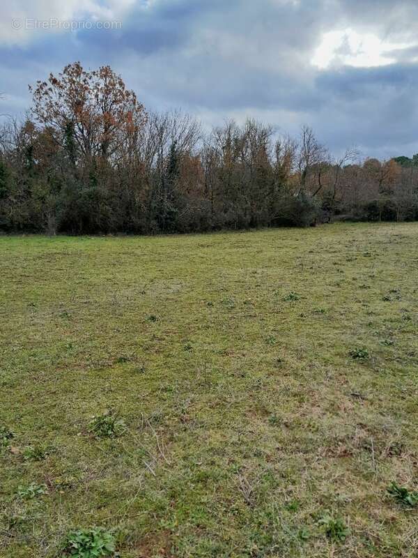 Terrain à SAINT-MAXIMIN-LA-SAINTE-BAUME