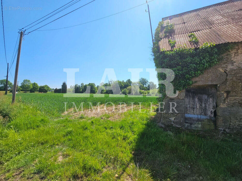 Terrain à SAINT-PIERRE-DES-NIDS