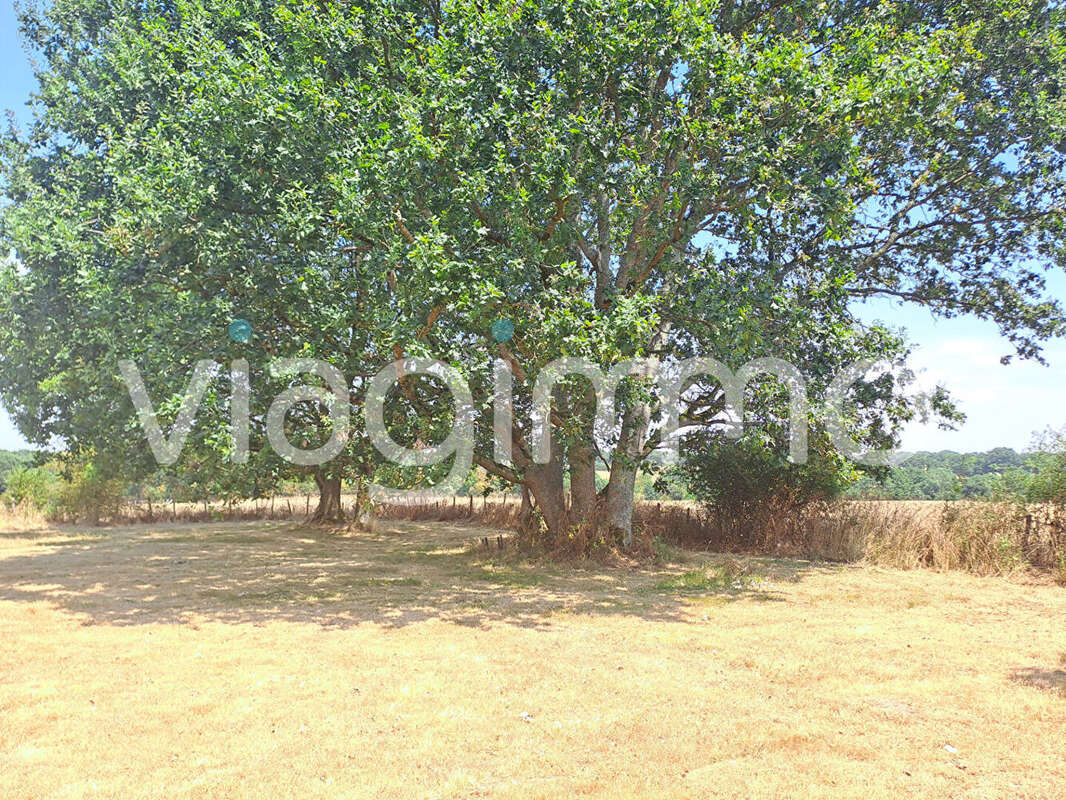 Maison  Campagne de Savenay et Campbon - photo 10