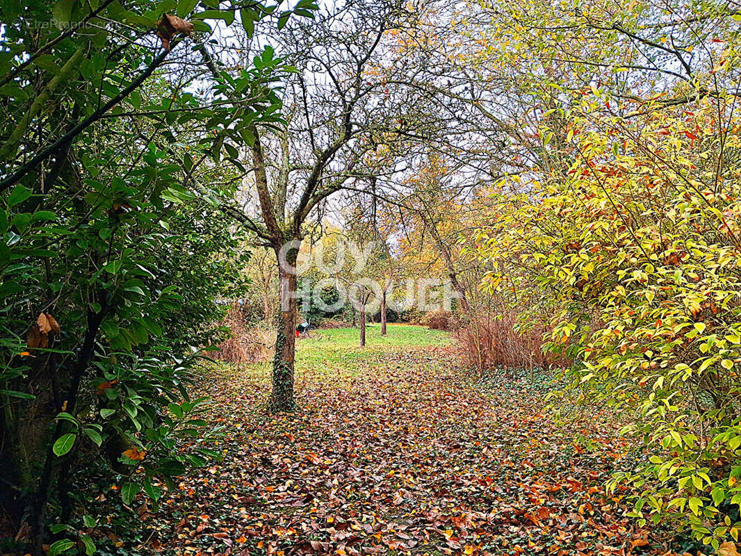 Maison à MONT-BERNANCHON