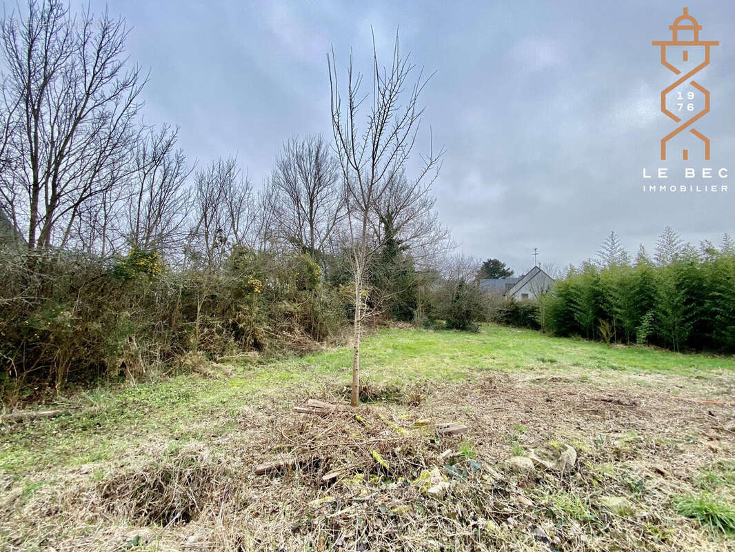 Terrain à SAINT-PHILIBERT
