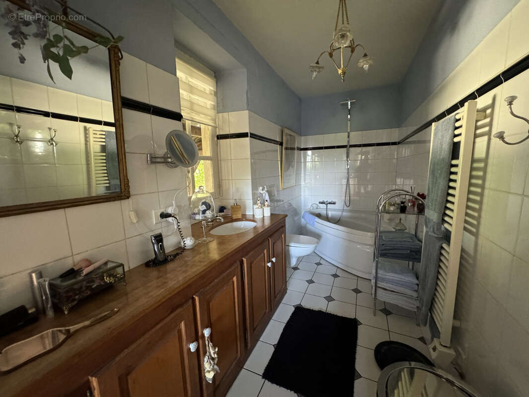 Propriété d'exception au Châtelet : 3,5 ha de nature avec piscine ! - photo 16