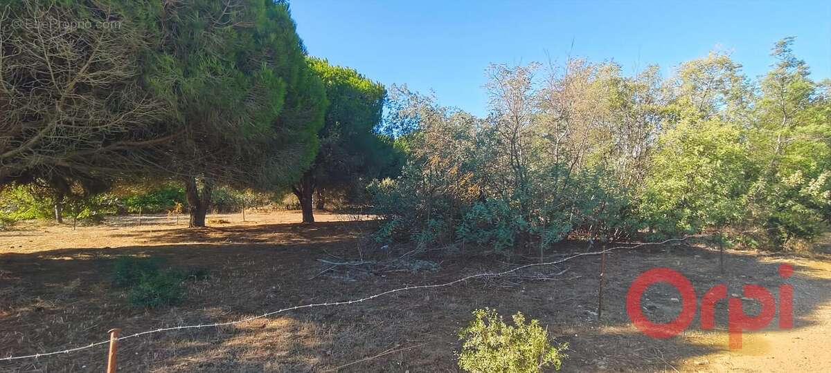 Terrain à SERIGNAN