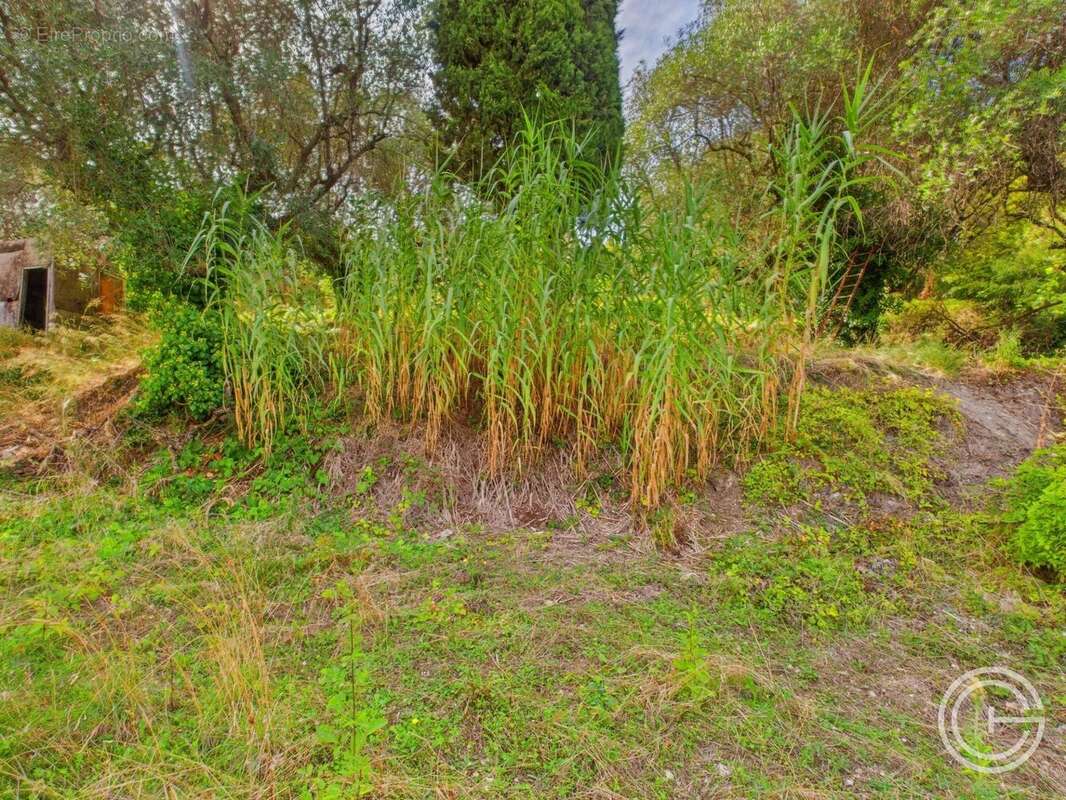 Terrain Constructible - 1.329m² - Chemin de Rimiez - ST ANDRE DE LA ROCHE - photo 12