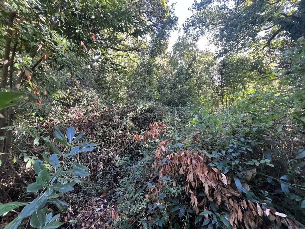 Maison à SAINT-NAZAIRE