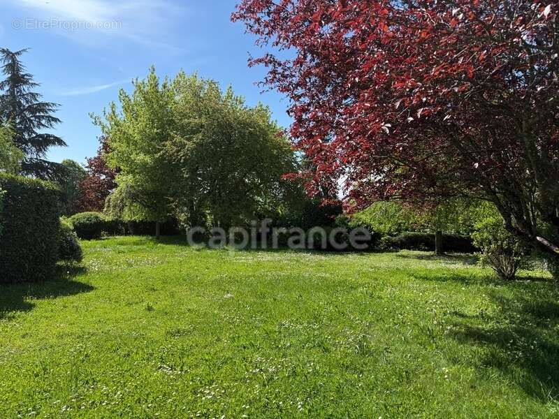 Maison à PREVESSIN-MOENS