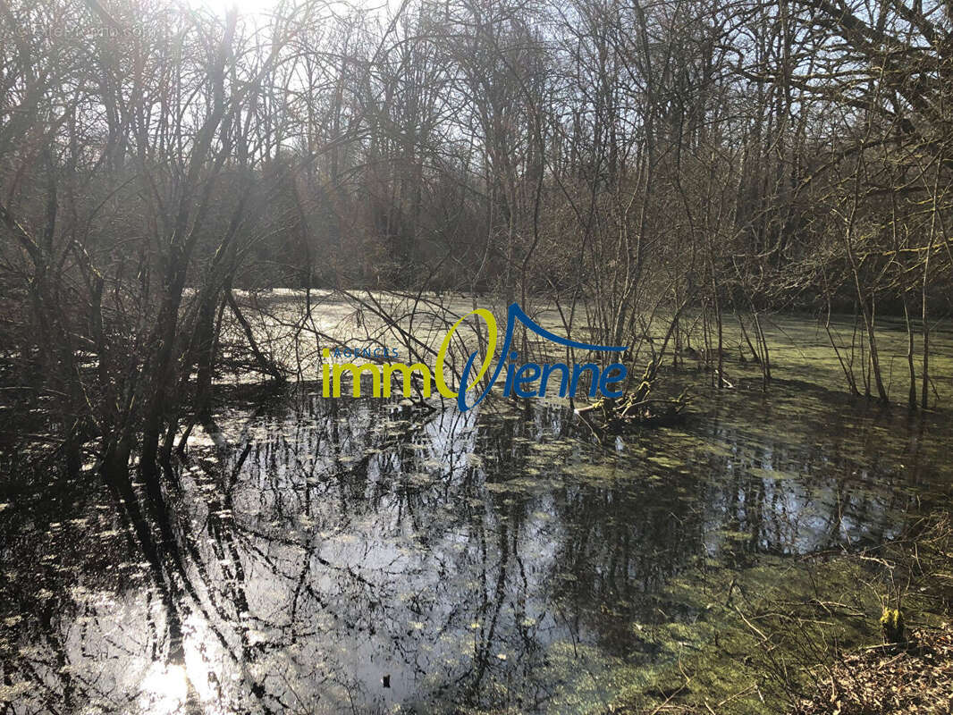 Terrain à USSON-DU-POITOU