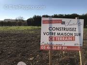 Terrain à LOIRE-LES-MARAIS
